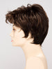 Raven Lace Front Wig by Envy