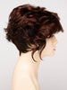 Carrisa Lace Front Wig by Envy