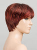 Tool Wig by Ellen Wille